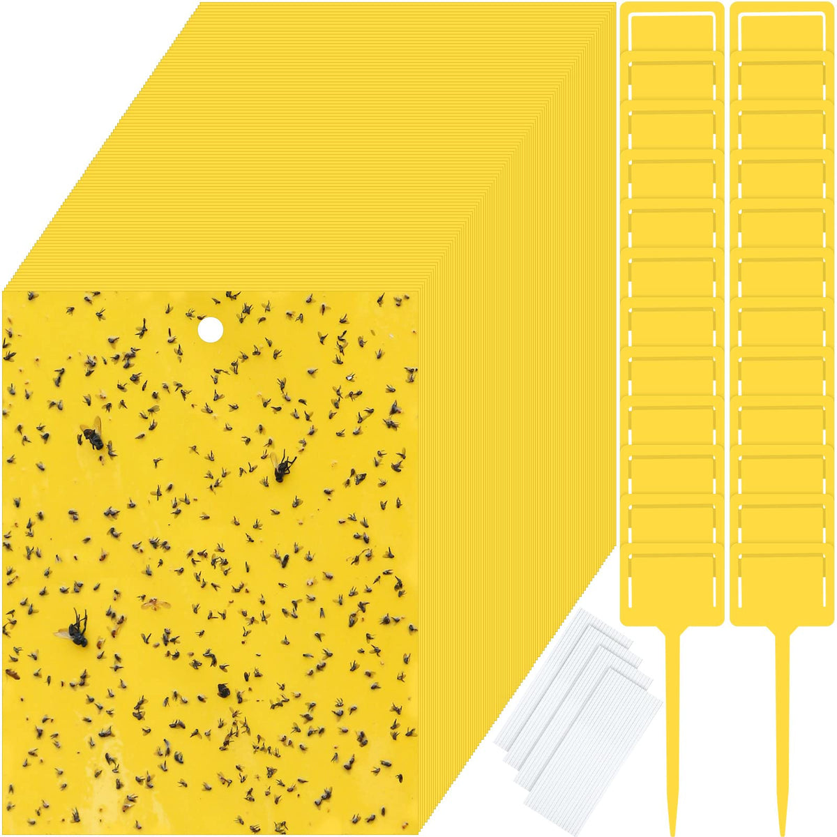 Qualirey sticky traps gnats yellow double-sided for broader pest capture.