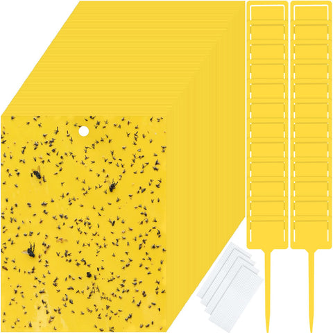 Qualirey sticky traps gnats yellow double-sided for broader pest capture.
