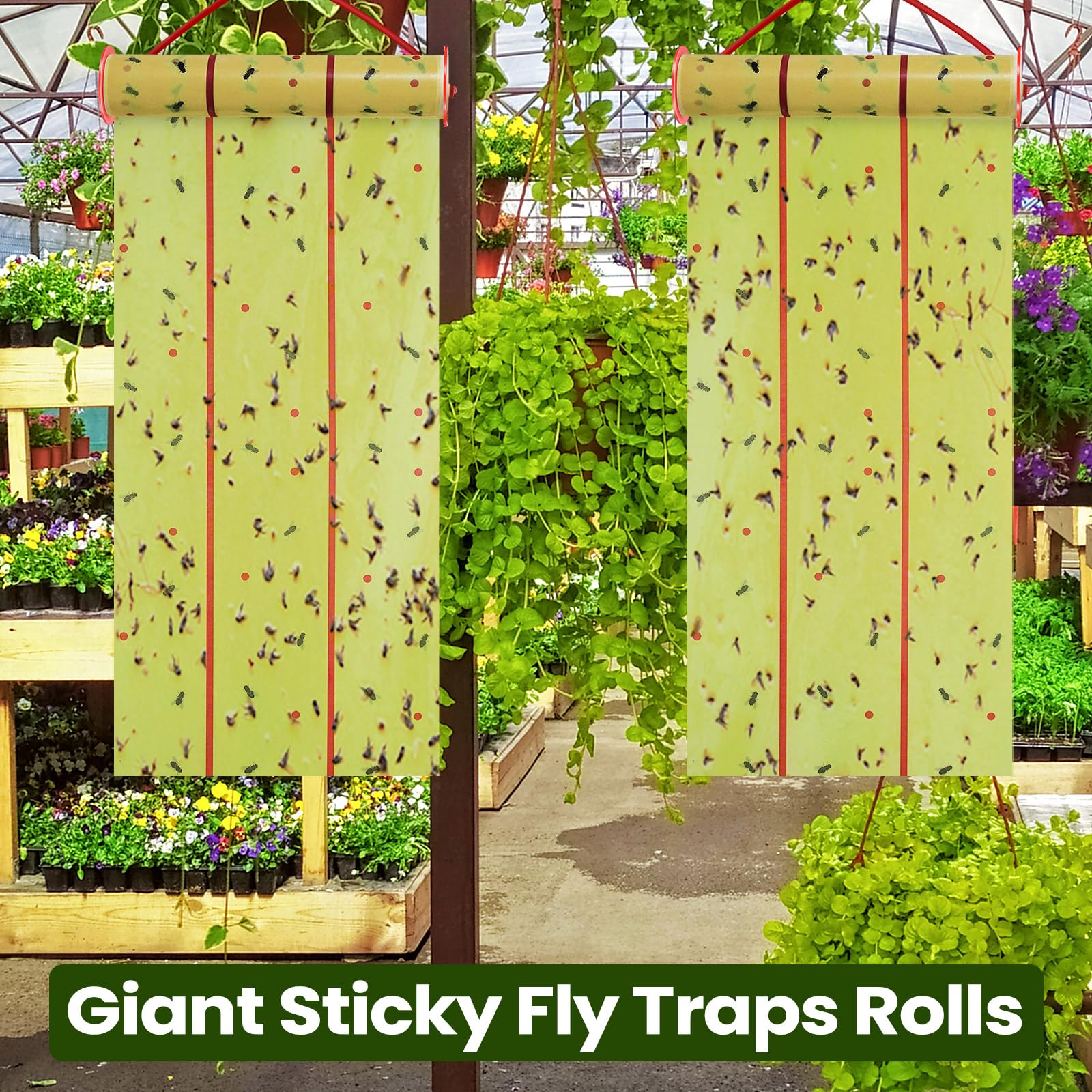 Qualirey thick glue and waterproof paper ensure durability.