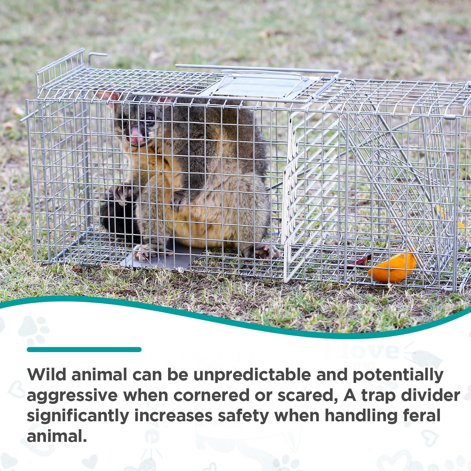 Qualirey trap divider fits cages up to 12 inches.