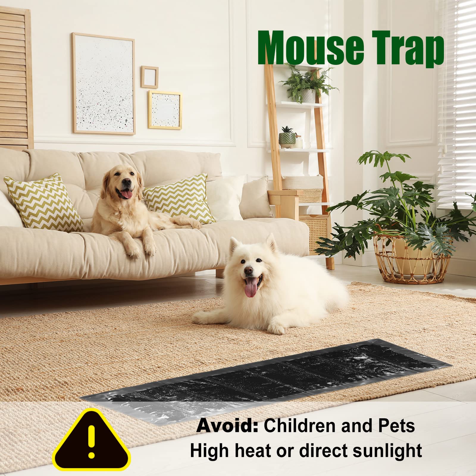 Qualirey trap placed along travel routes to capture pests.