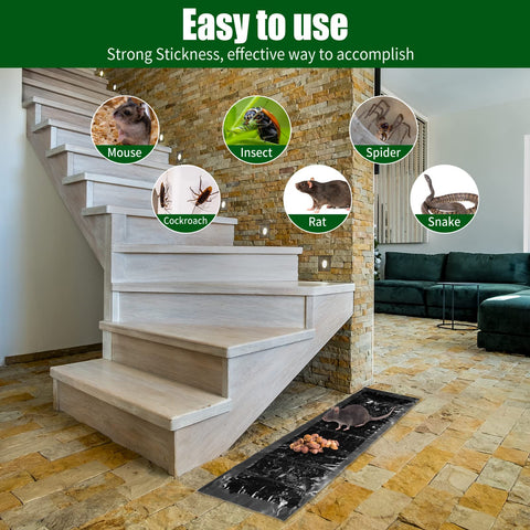 Qualirey traps should be placed in corners and routes for coverage.