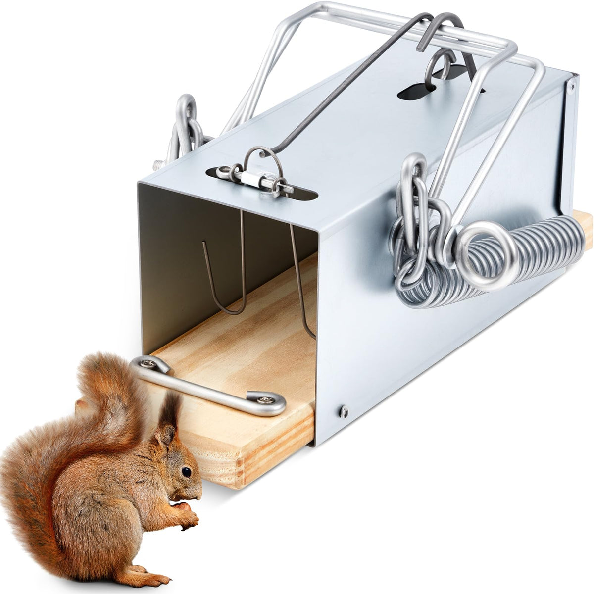 Qualirey Tube Trap outdoors targeting squirrels for garden pest control