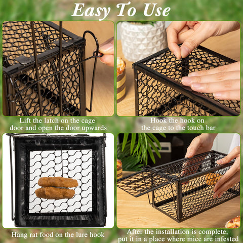 Qualirey two-pack traps ready for use in multiple spaces.