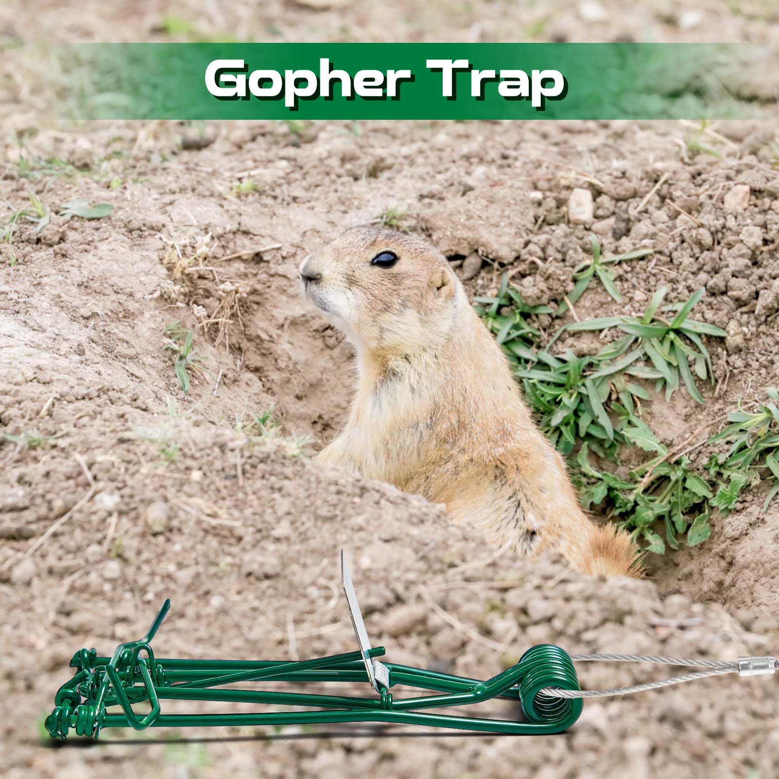 Qualirey gopher traps work across lawns, gardens, and farms for versatile pest control.