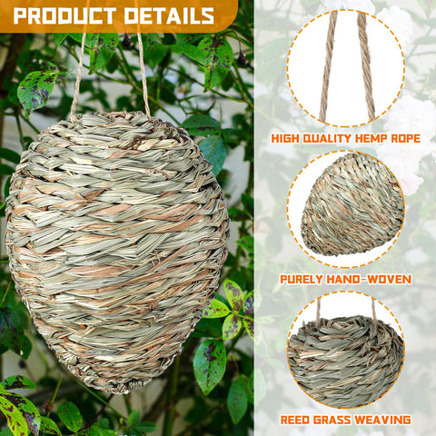 Qualirey wasp nest decoy displayed with 10 inch size clearly shown for scale outdoor use.