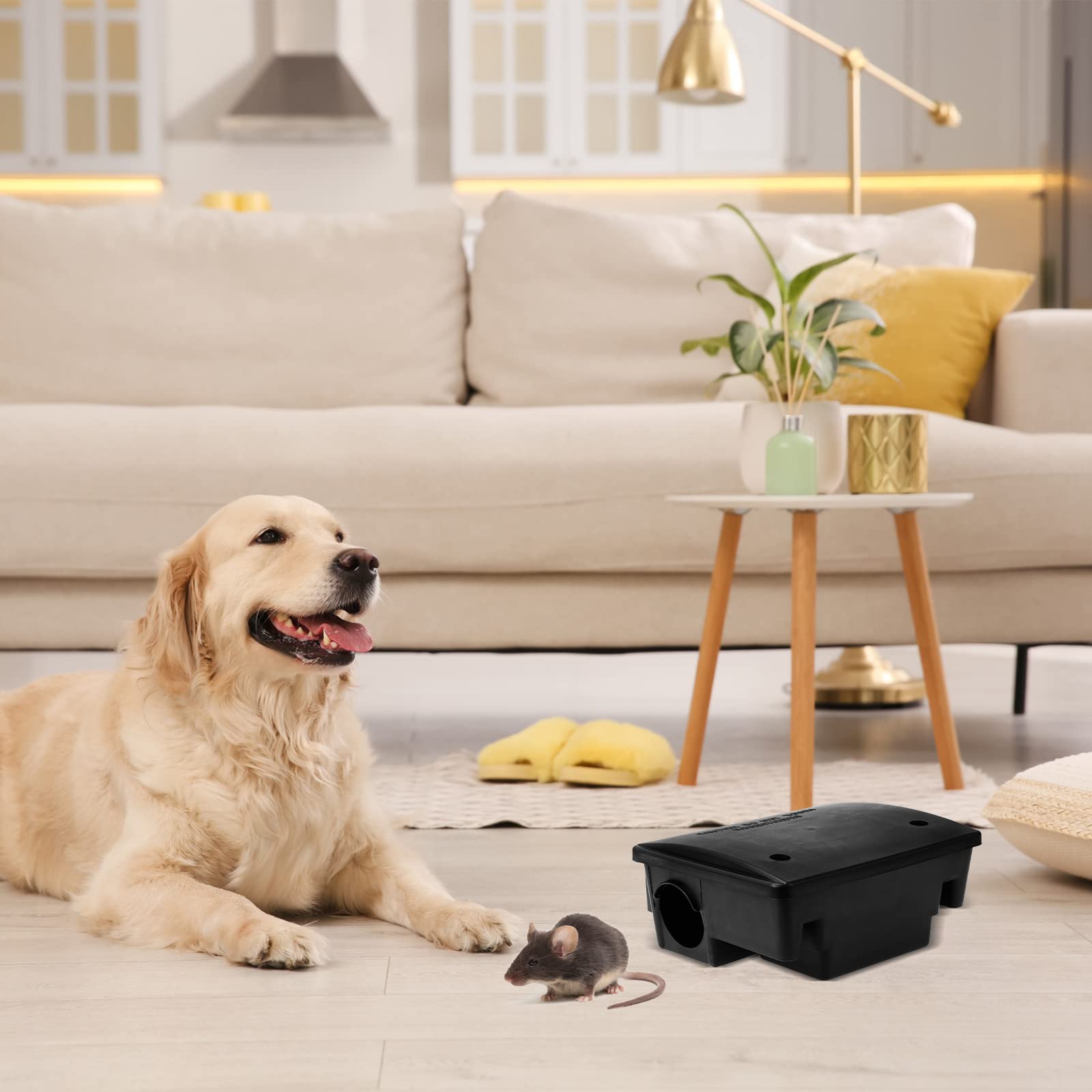 Qualirey weather-resistant rat bait station suitable for walls, patios, and yards.