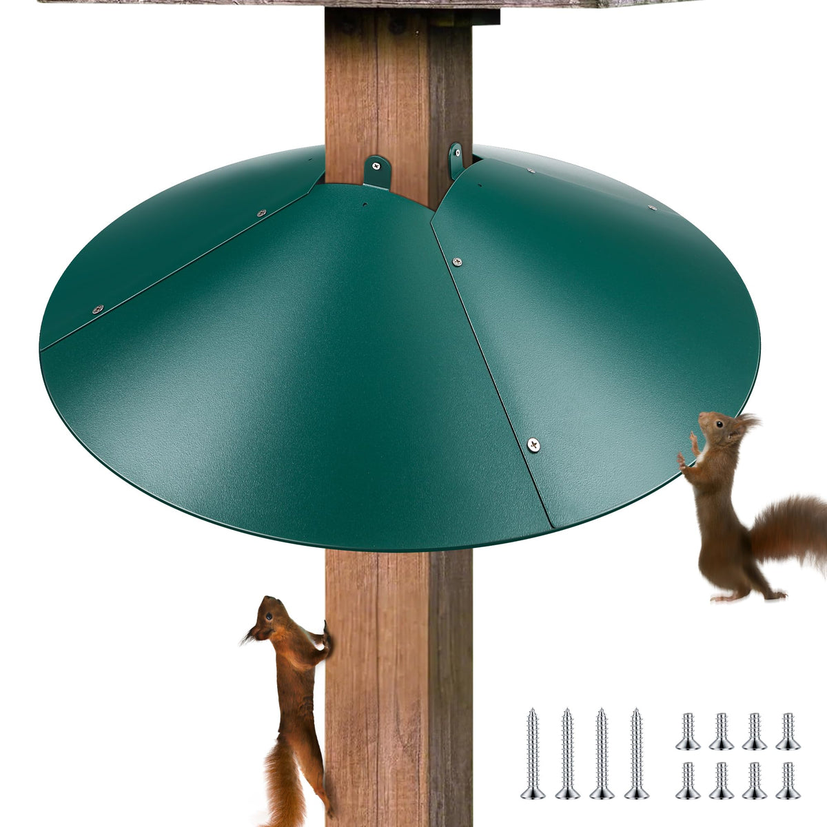 Qualirey wrap-around baffle, 21.5 inch, green, shields bird feeders from squirrels.