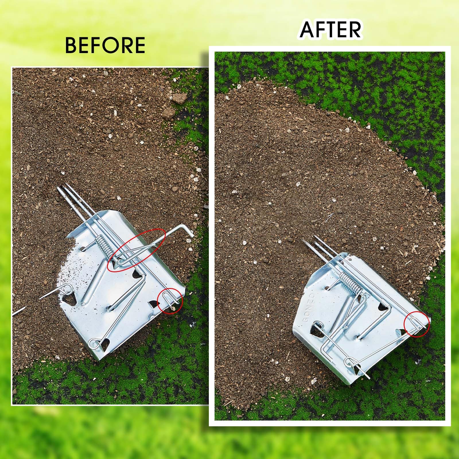 Qualirey traps in a yard setup showing practical outdoor use.