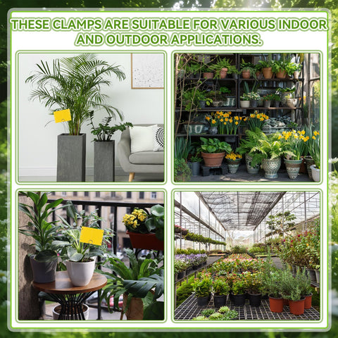 Qualirey yellow traps visible in sun attract pests while remaining durable outdoors.