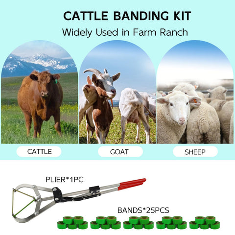 QUANSUPPLY banding kit package with all components organized.