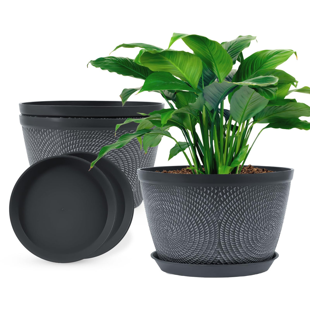 Quarut 10-inch round-pattern pot for stylish indoor displays.