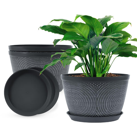 Quarut 10-inch round-pattern pot for stylish indoor displays.