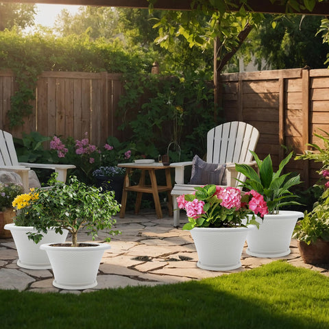 Quarut gold finish with black antique stain offers chic, vintage appeal for plant displays.