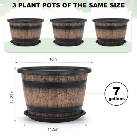 Quarut plant pot with drainage holes and saucer prevents water pooling.