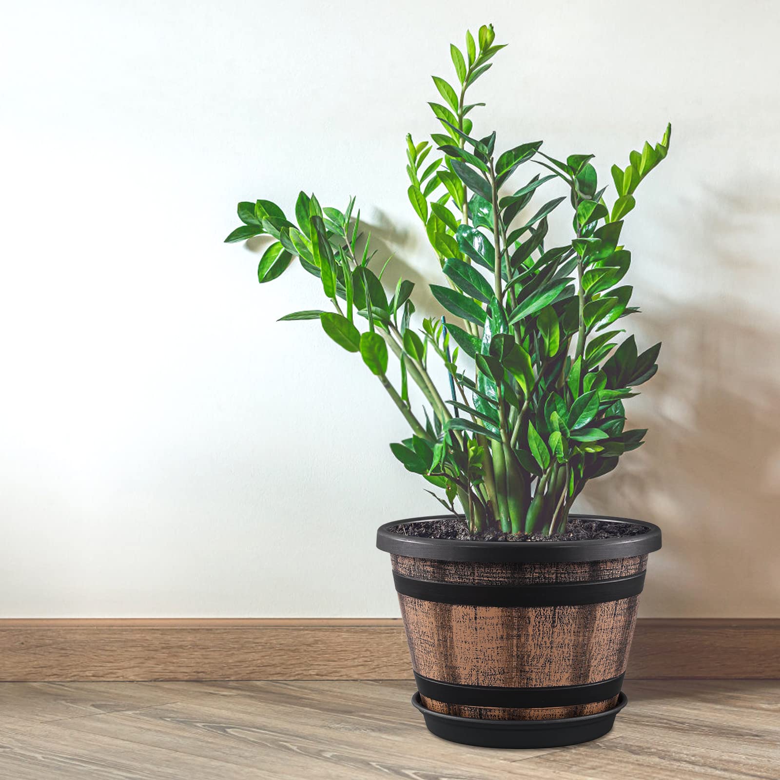 Quarut gift-ready barrel planters enhance homes, weddings, or patios.