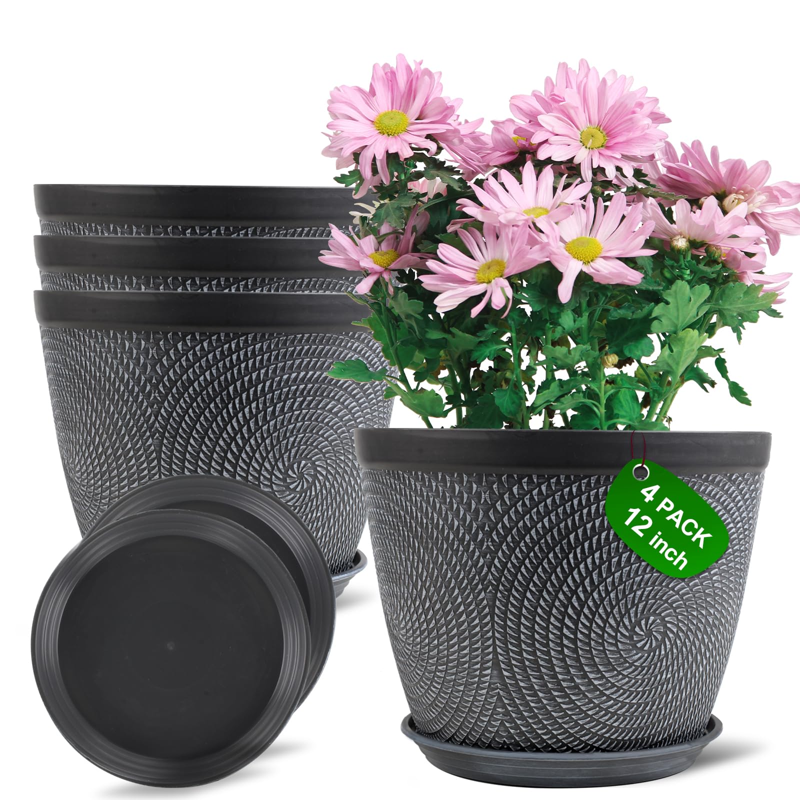 Quarut large 12-inch pot with circle pattern enhances modern indoor decor for houseplants.