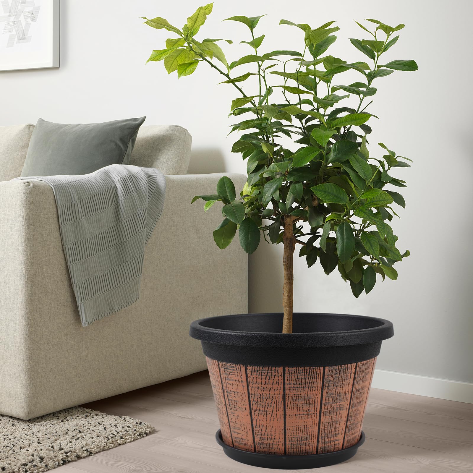 Quarut planters on balcony, ideal for flower and greenery displays