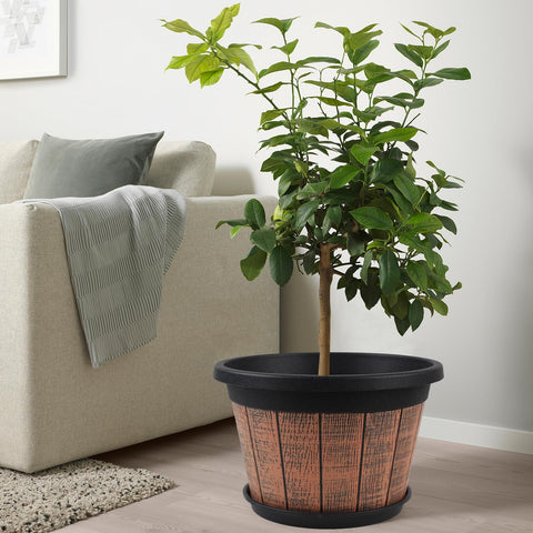Quarut planters on balcony, ideal for flower and greenery displays