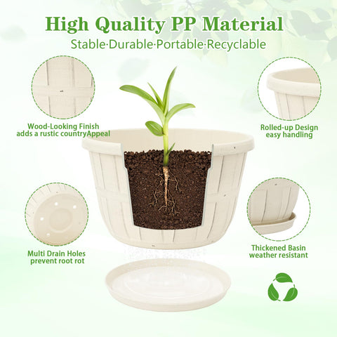 Quarut planter showing drainage holes and included saucer for mess-free watering.