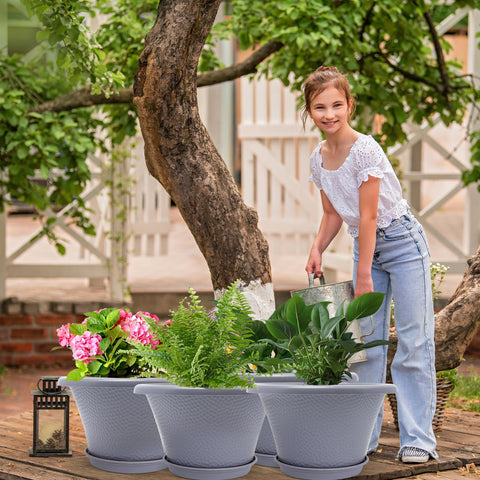 Quarut gift ready planter set suitable for plant lovers.