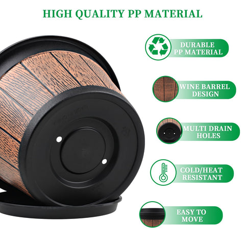 Quarut planter with drainage holes and removable tray prevents overwatering