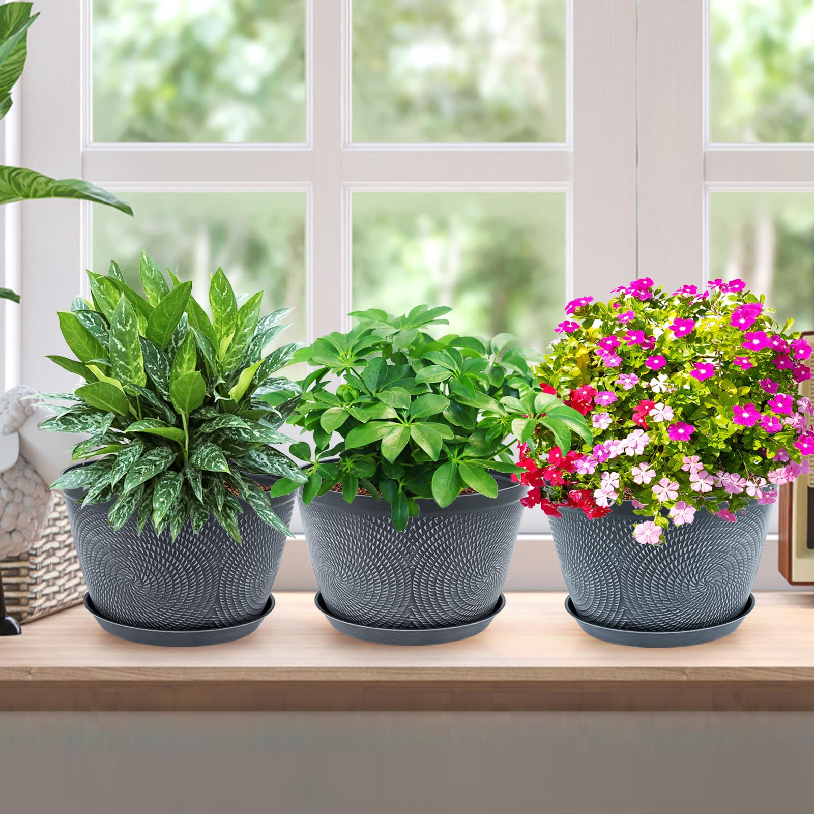 Quarut three-pack pots offer versatile decorating options.