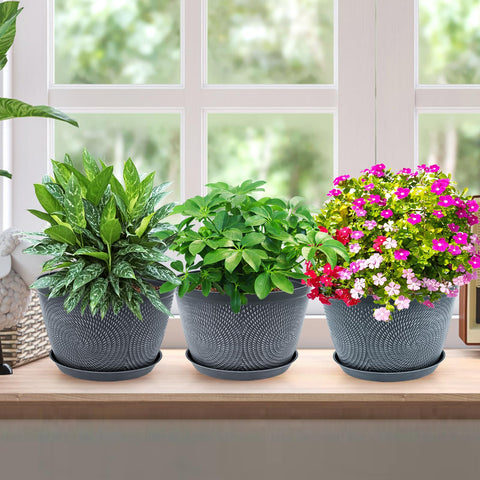 Quarut three-pack pots offer versatile decorating options.