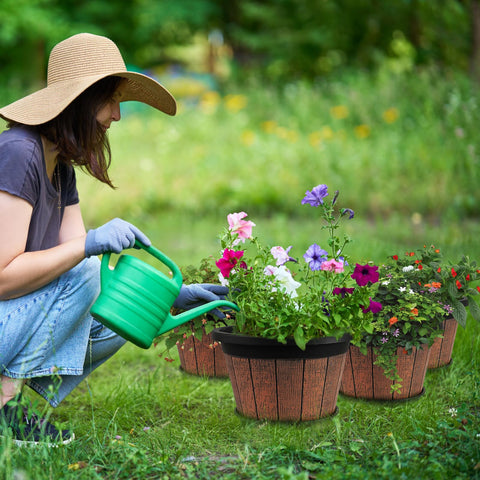Quarut compatible with a wide range of houseplants and garden varieties.