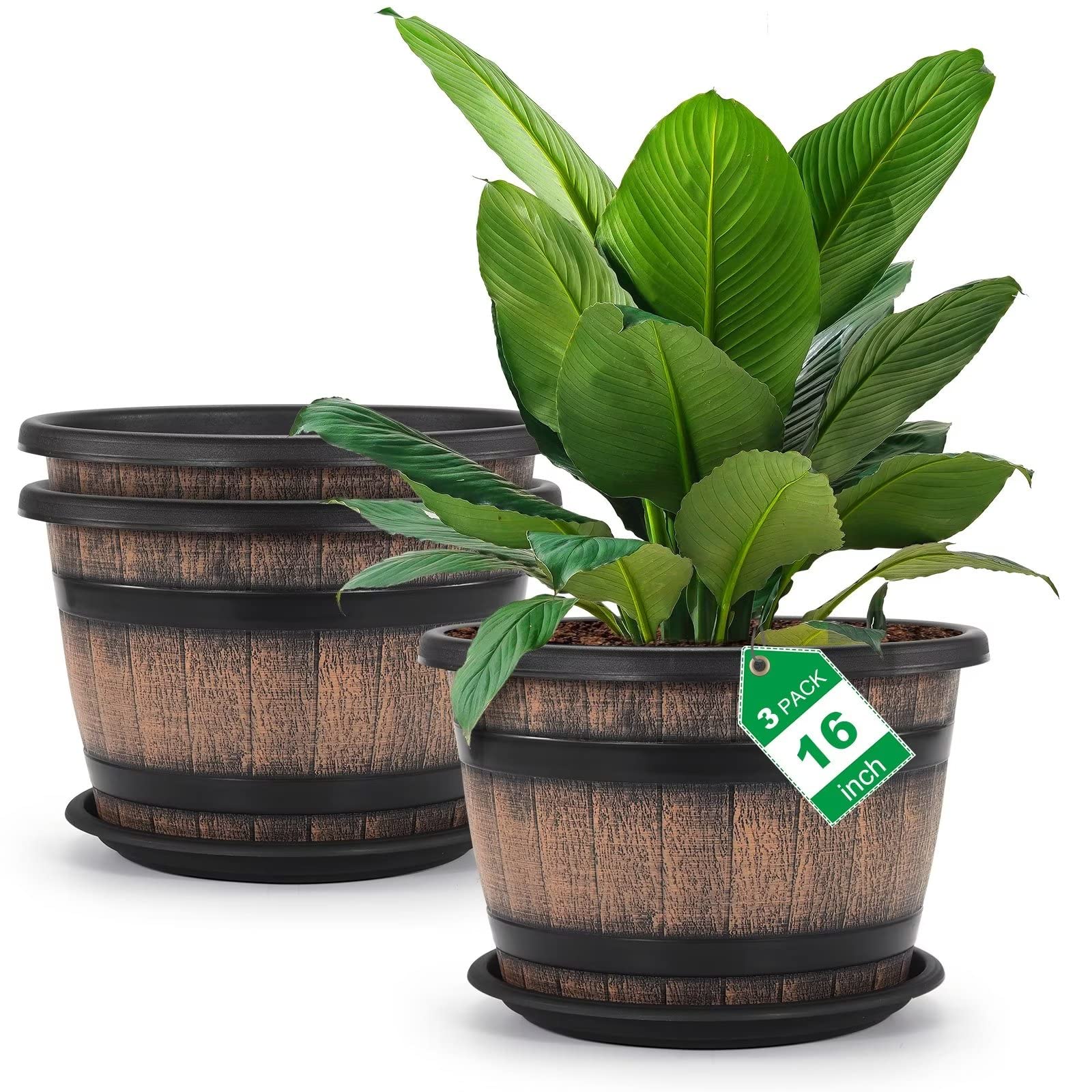 Quarut whiskey barrel plant pot with 16-inch top diameter for spacious planting.