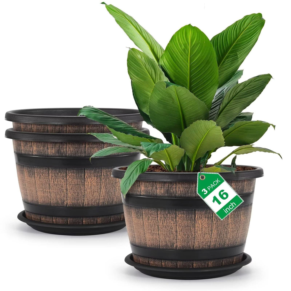 Quarut whiskey barrel plant pot with 16-inch top diameter for spacious planting.
