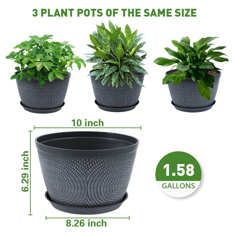 Quarut planters on window sill or balcony for decoration.