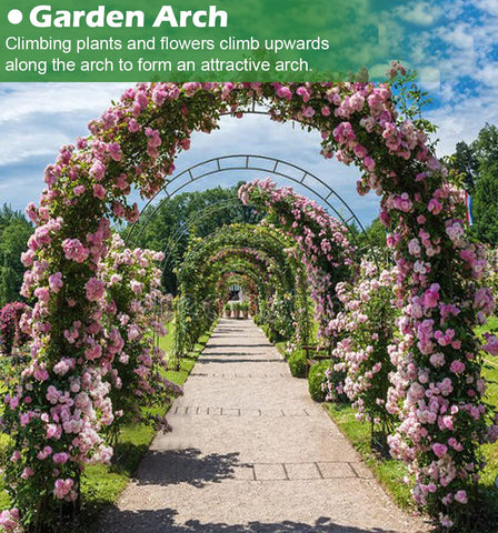 Queension arch ready for balloons and flowers to customize celebrations.