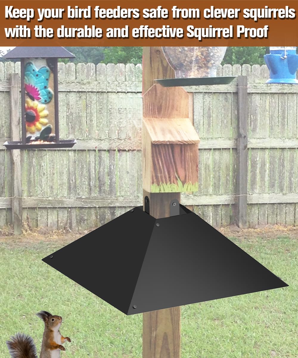 Queension baffle with tips for effective squirrel-proofing in a garden setting.