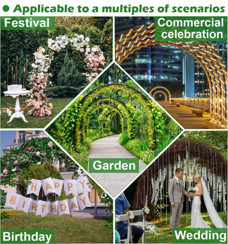 Queension garden arch with climbing plants creates a natural decor focal point.