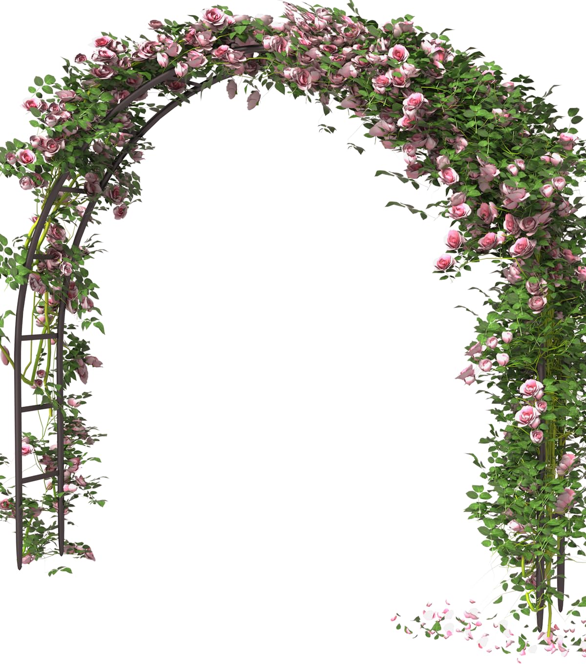 Queension metal arch stand with generous dimensions for roomy ceremony spaces.
