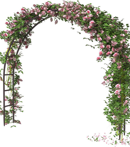 Queension metal arch stand with generous dimensions for roomy ceremony spaces.
