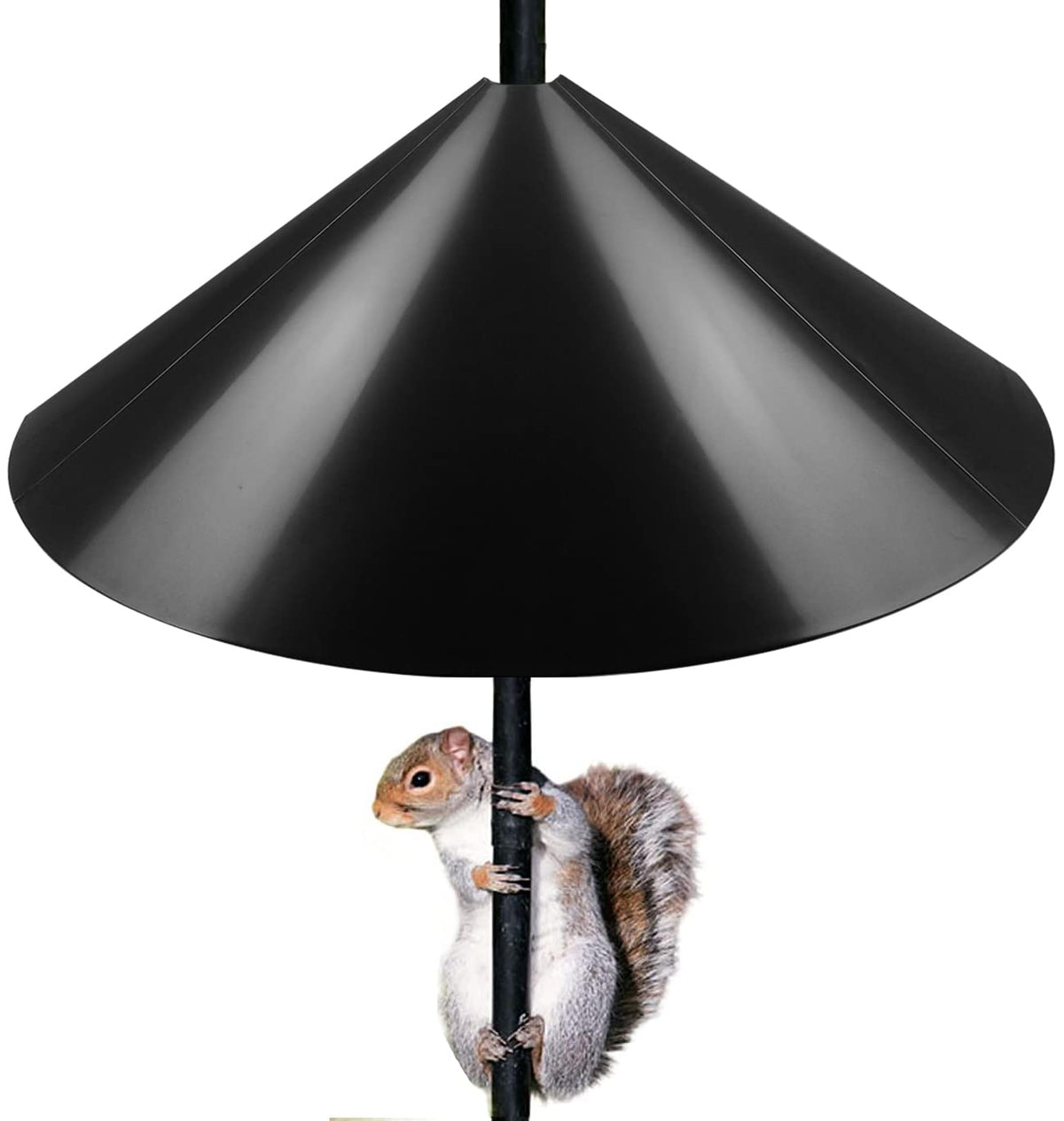 Queension Squirrel-Proof Baffle on a 19-inch pole protects bird feeders from intruders