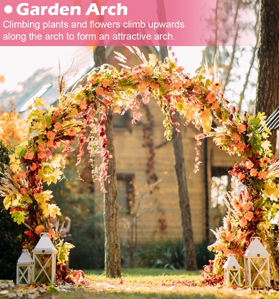Queension wedding arch indoor outdoor use shows flexible installation options