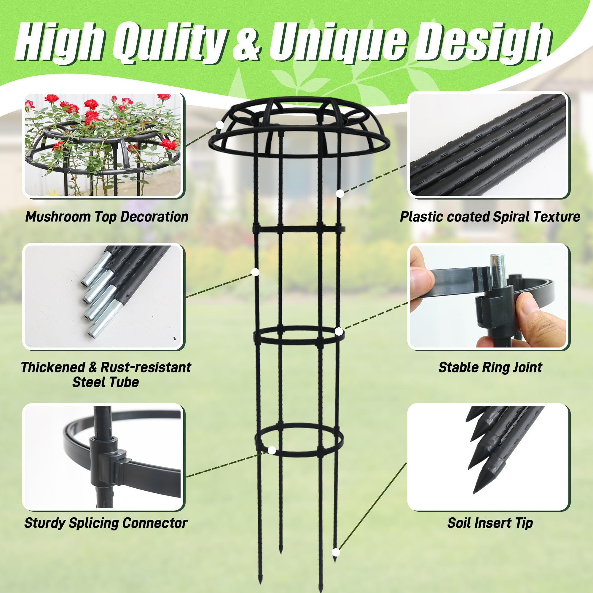 Quibbay climbing plants support roses and tomatoes in sunlit garden.
