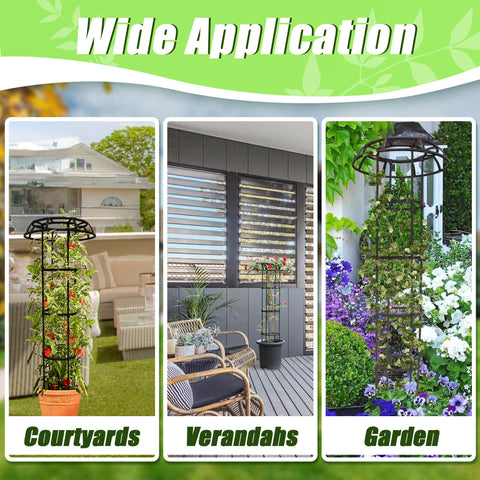 Quibbay 53-inch mushroom top trellis promotes higher vine growth.