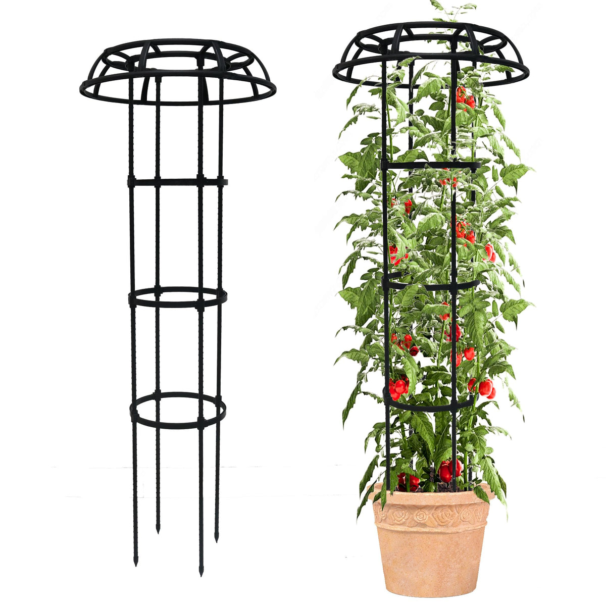 Quibbay garden trellis with mushroom top supports climbing plants outdoors.
