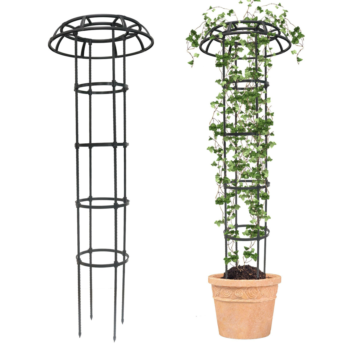 Quibbay Garden Trellis 65-inch mushroom top supports climbing plants outdoors.