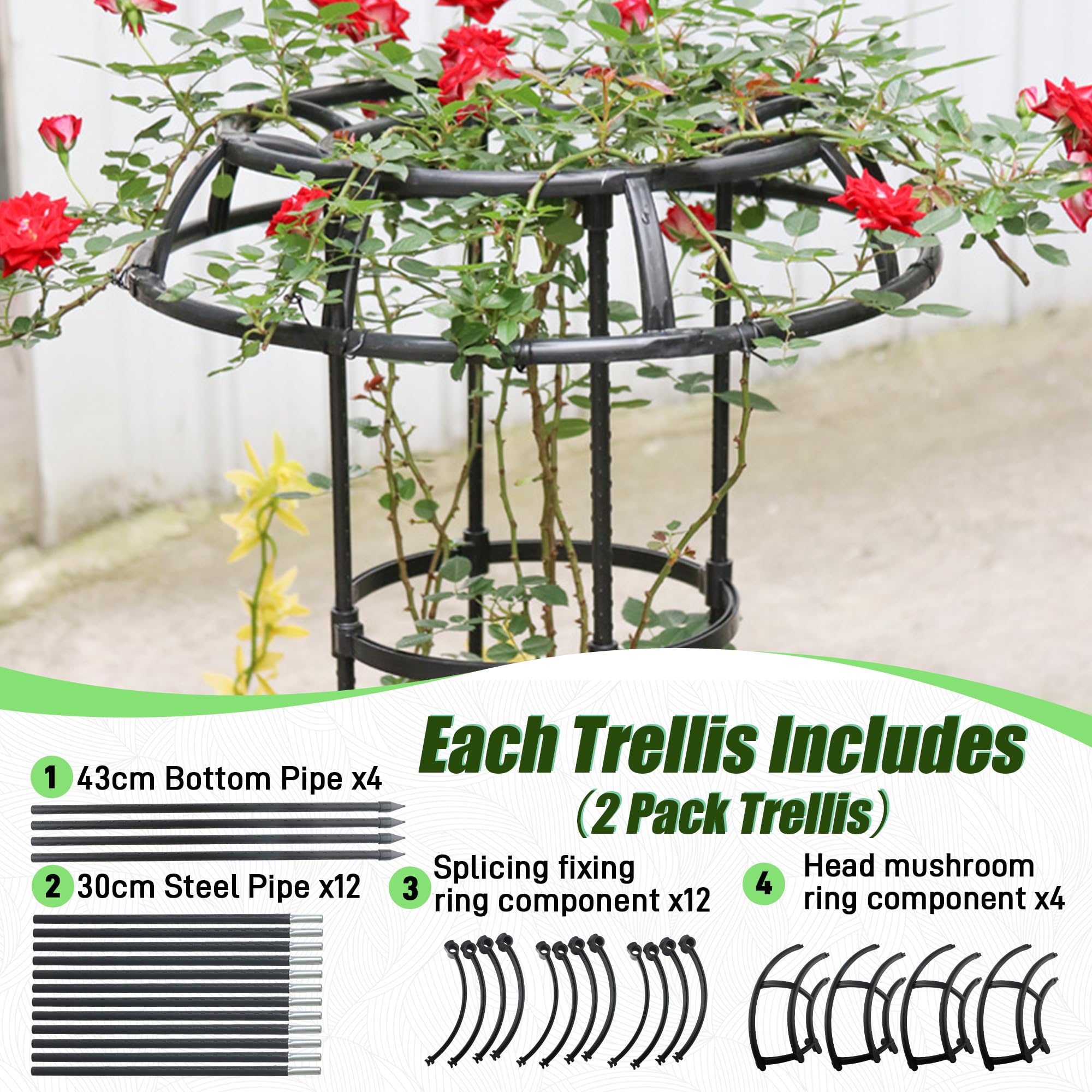 Quibbay trellis as decorative lighting support for evenings use.