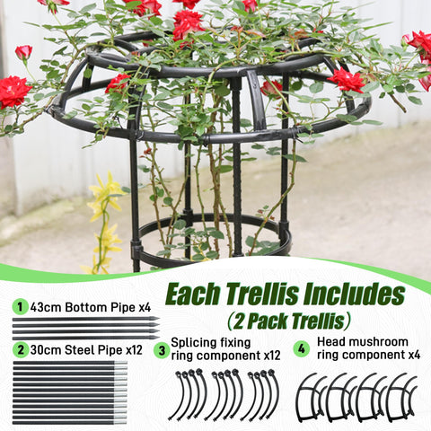 Quibbay trellis as decorative lighting support for evenings use.