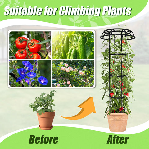 Quibbay durable garden trellis withstands harsh weather conditions.