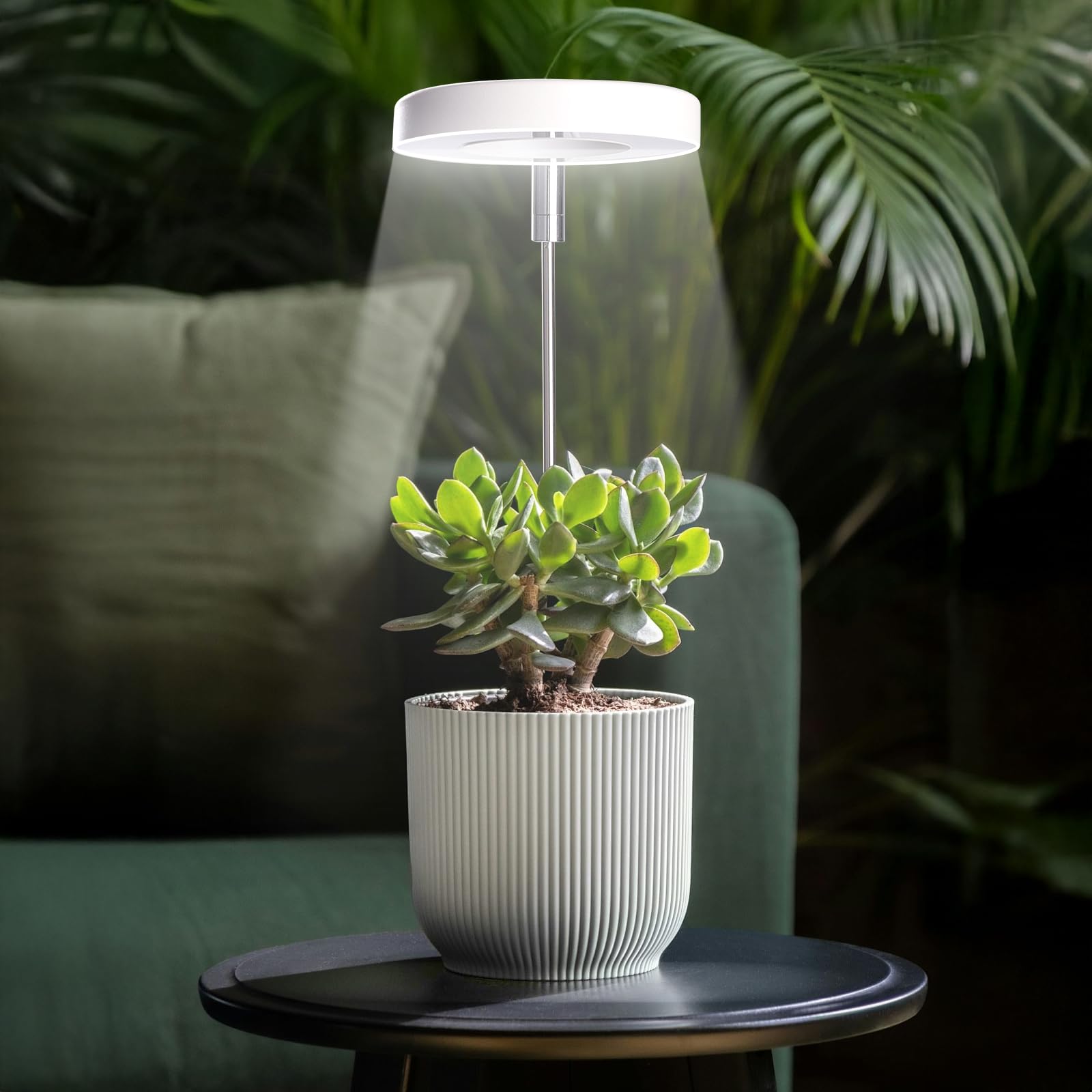 Qicodu full-spectrum grow light 2-pack for herbs and succulents