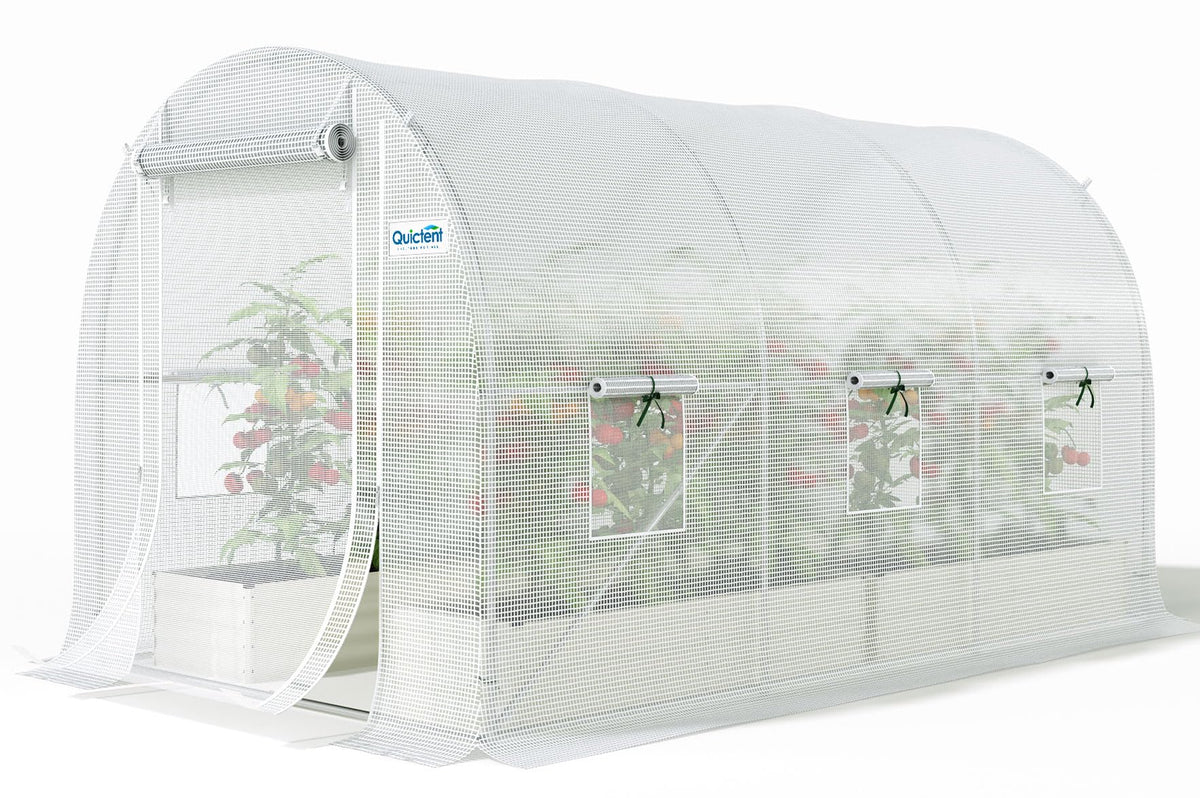 Quictent Essential greenhouse front view with walk-in access and space.