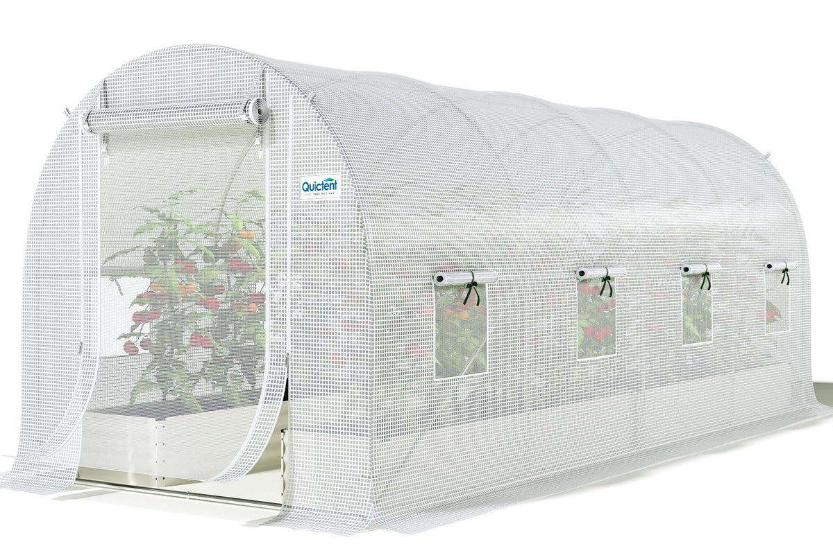 Quictent Essential greenhouse walk-in tunnel enables easy setup for organized backyard growing.