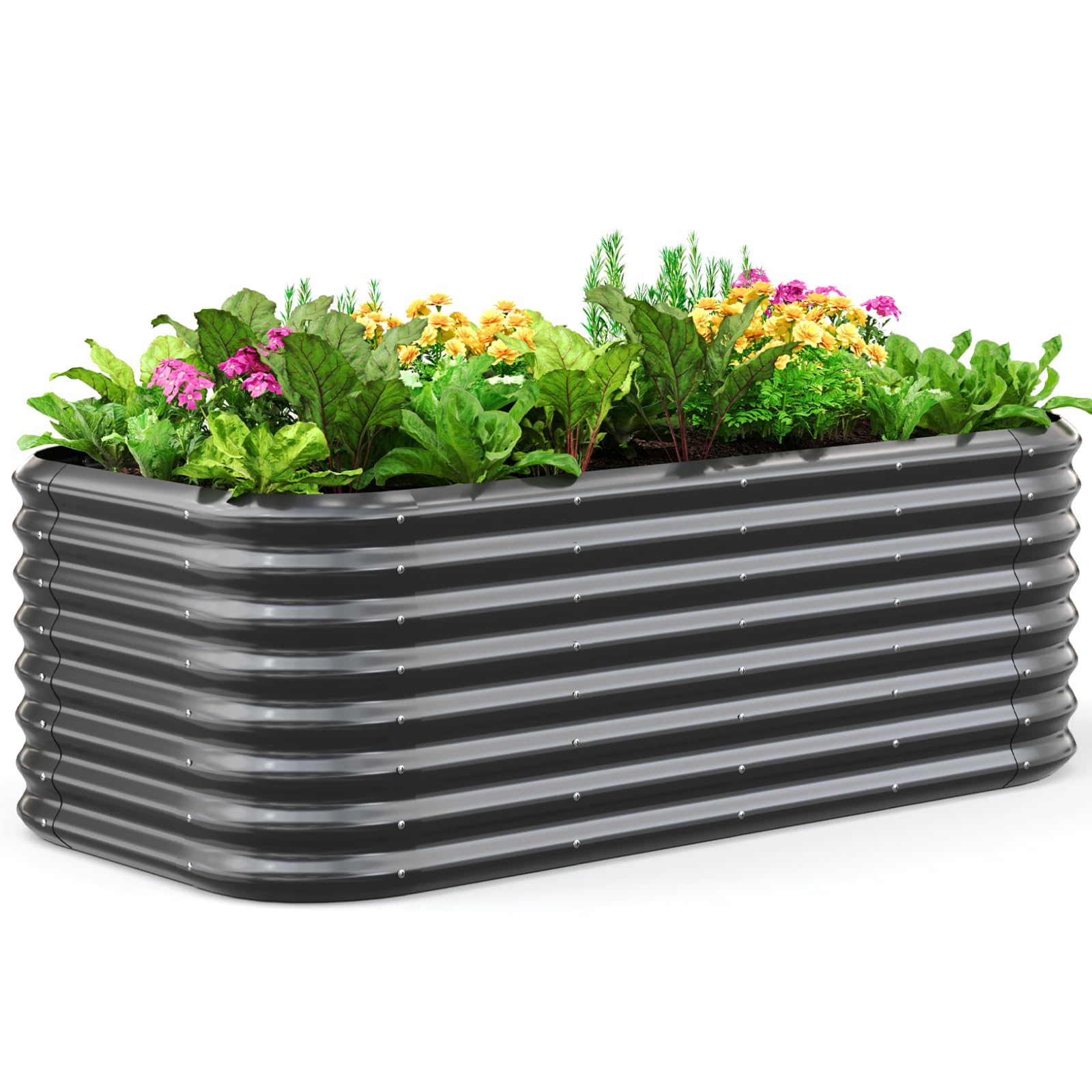 Quictent oval galvanized raised garden bed showing spacious growing area.